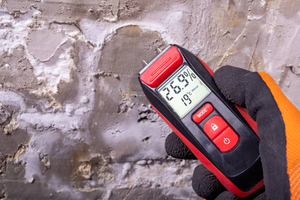 Best Same-Day Mold Removal  in Fordyce, AR
